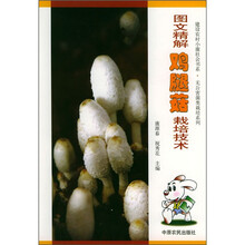 图文精解鸡腿菇栽培技术