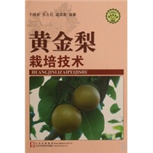 黄金梨栽培技术