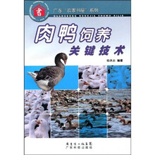 肉鸭饲养关键技术