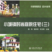 小城镇时尚庭院住宅(3)