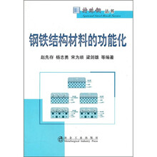 钢铁结构材料的功能化