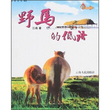 野马的低语