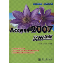 实用教程:Access 2007实用教程