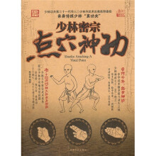 少林密宗点穴神功(附DVD光盘1张)