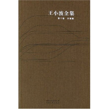 王小波全集：第10卷 未竟稿