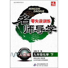 名师导学零失误训练：9年级化学（下）（人教版）