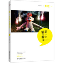 那一年灿若烟花