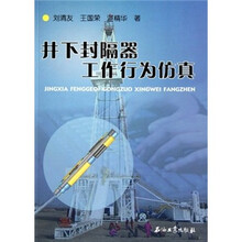井下封隔器工作行为仿真