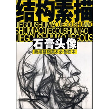 结构素描：石膏头像