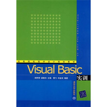 Visual Basic实训