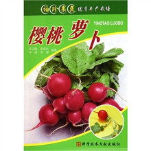 樱桃萝卜