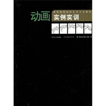 高等院校动画艺术专业教材：动画实例实训
