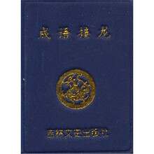 微型书：成语接龙
