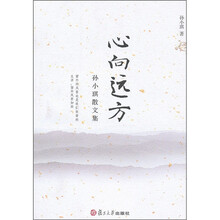 心向远方：孙小琪散文集