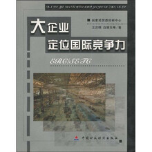 大企业定位国际竞争力