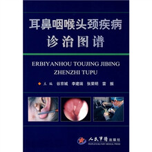 耳鼻咽喉头颈疾病诊治图谱