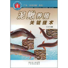 泥鳅养殖关键技术