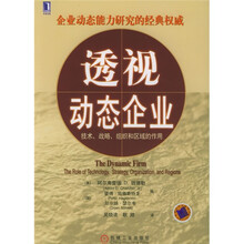 透视动态企业：技术、战略、组织和区域的作用