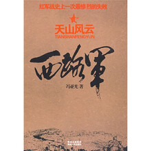 天山风云：西路军