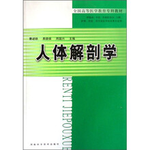 人体解剖学