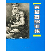 从艺起点：素描基础训练