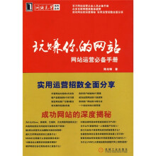 玩赚你的网站:网站运营必备手册
