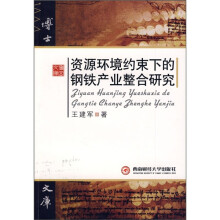 资源环境约束下的钢铁产业整合研究