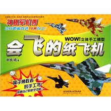 WOW立体手工模型：会飞的纸飞机：神秘军机秀