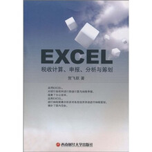 Excel税收计算、申报、分析与筹划