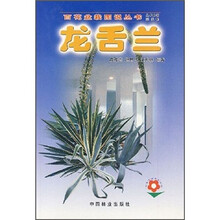 龙舌兰