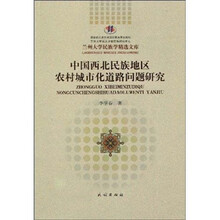 中国西北民族地区农村城市化道路问题研究