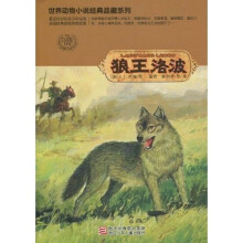 狼王洛波