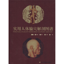 实用人体腧穴解剖图谱