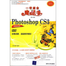 中文版Photoshop CS3图像处理(第2版)(附光盘)