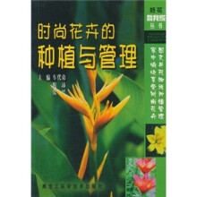 时尚花卉的种植与管理