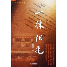 一抹阳光:长篇报告文学