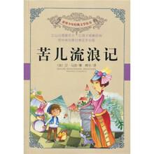 苦儿流浪记