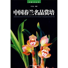 中国春兰名品赏培
