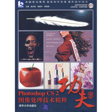 功夫:Photoshop CS2图像处理技术精粹(附光盘)