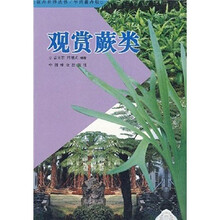 观赏蕨类