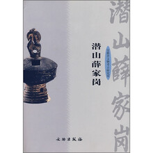 潜山薛家岗