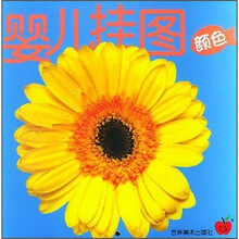 婴儿挂图：颜色（0-3岁）