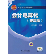 会计电算化(提高版)
