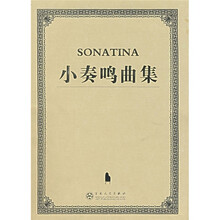 小奏鸣曲集