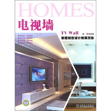 家居创意设计效果图集：电视墙