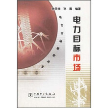 电力目标市场