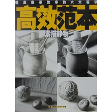 高效范本（素描静物）