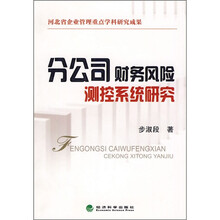 分公司财务风险测控系统研究