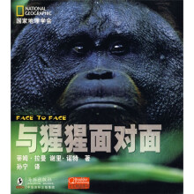 与猩猩面对面