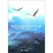 飞翔的天空